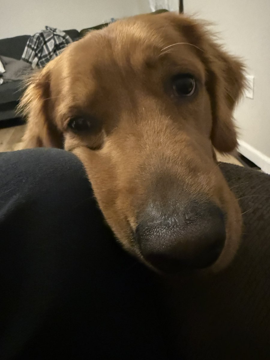 AverageBiff 👻 tweet media