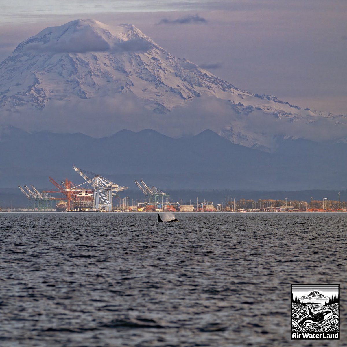 AirWaterLand Photography tweet media