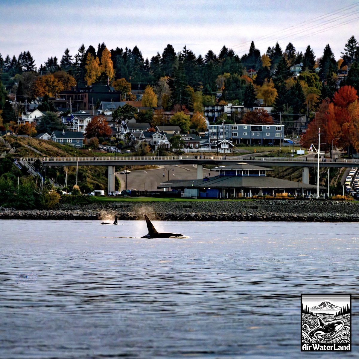 AirWaterLand Photography tweet media