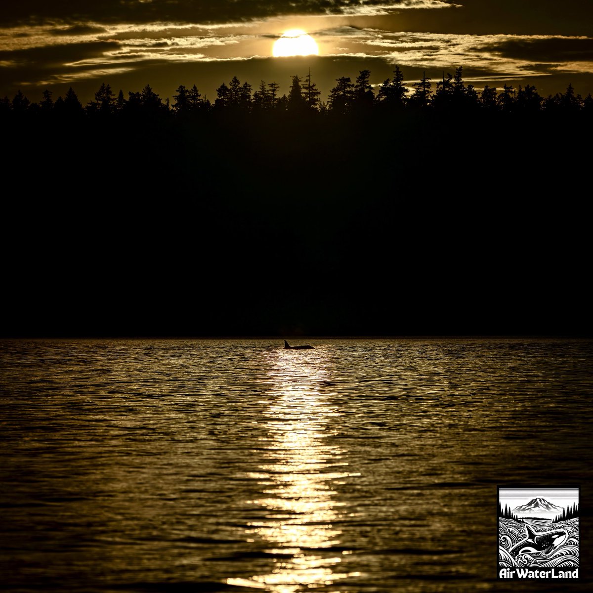 AirWaterLand Photography tweet media