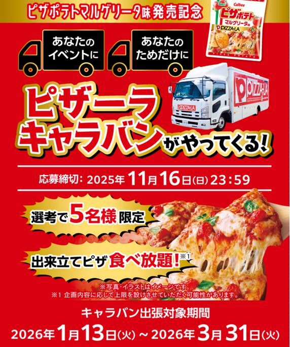 ヒカゲノカズラ JIM'sflowersさま専用 準備出来次第発送 ドライ