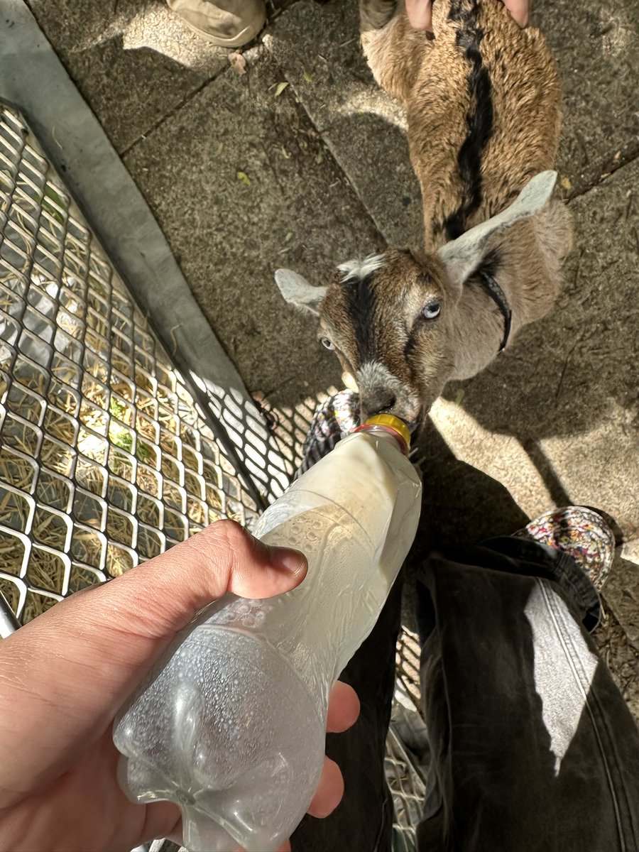 Feeding hazbin hotel armpit porn