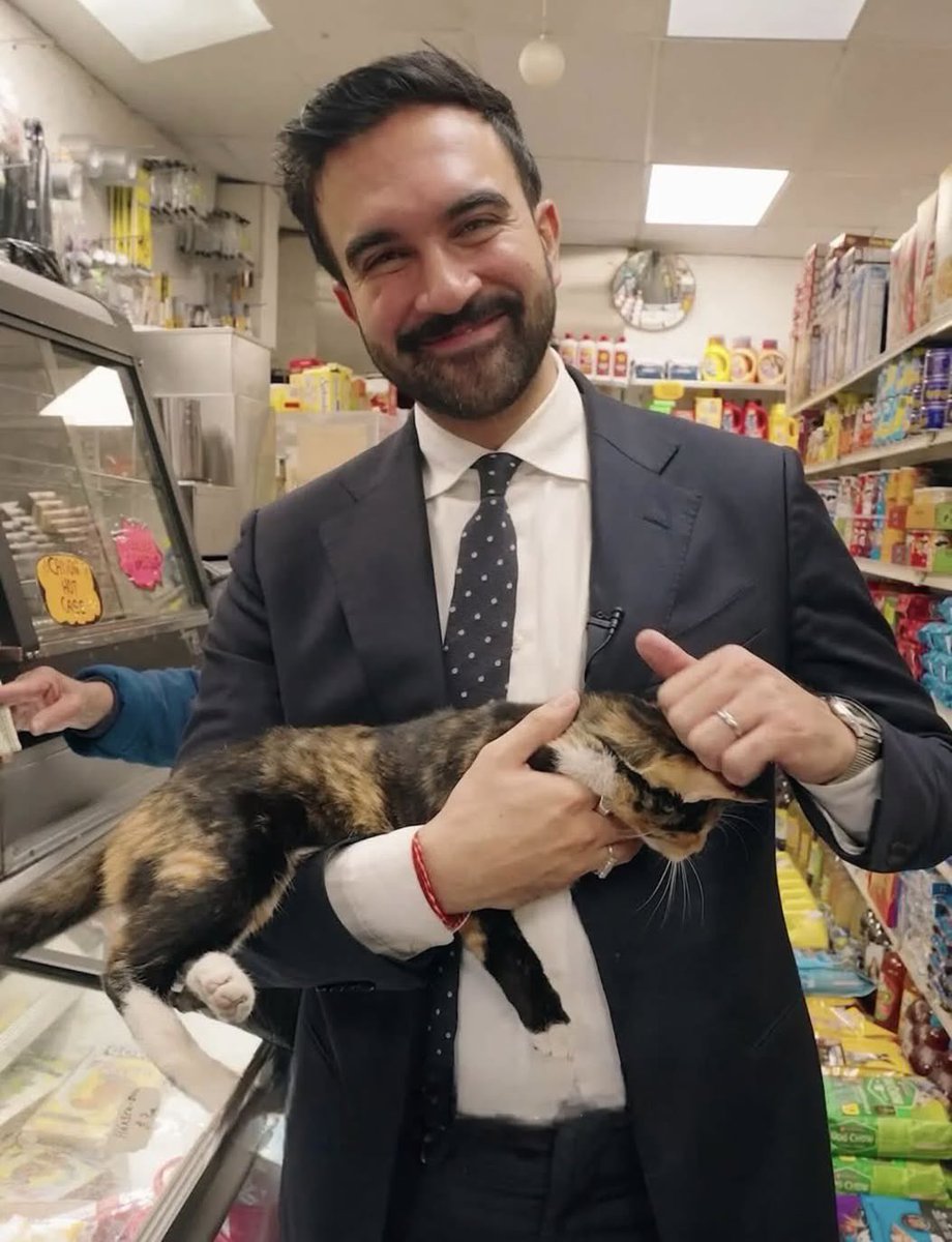 Imagínate halarte los pelos porque el tipo ganó en una ciudad donde tú ni siquiera vives, y él por ahí, sobando gatos.