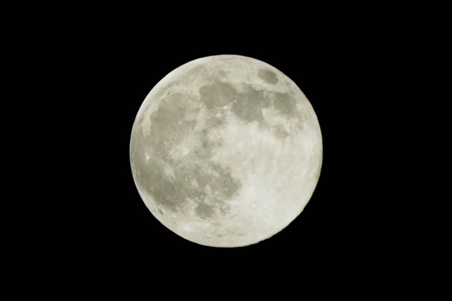 eveningtune620's tweet photo. 眩しいくらい綺麗な満月でした✨
一眼レフで撮影📷
200mm、F11、1/125秒、ISO100
（編集にて拡大、色調補正しています）

#満月 #スーパームーン https://t.co/rKa0aYLiHz