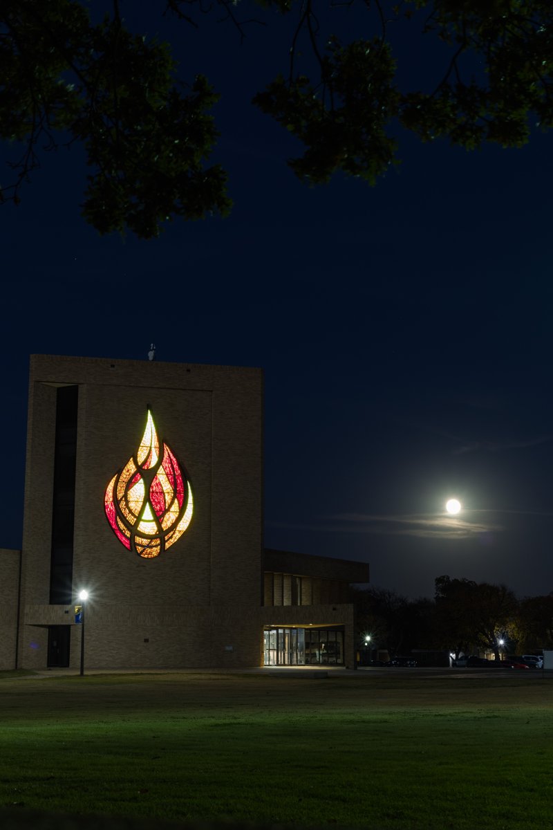 Wayland Baptist Univ tweet media