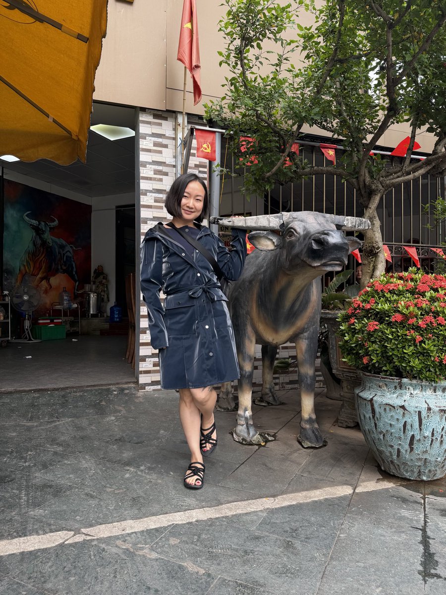 kim tran tweet media