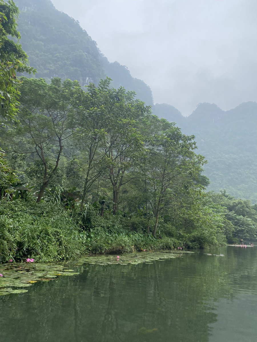 vubien8989's tweet photo. Khu du lịch tràng an ninh bình https://t.co/NW0qxdMGPa