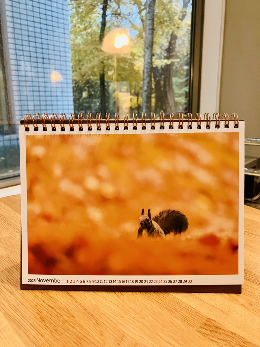 MUSEUM SHOP & CAFE きねずみ on X MUSEUM SHOP & CAFE きねずみ on X