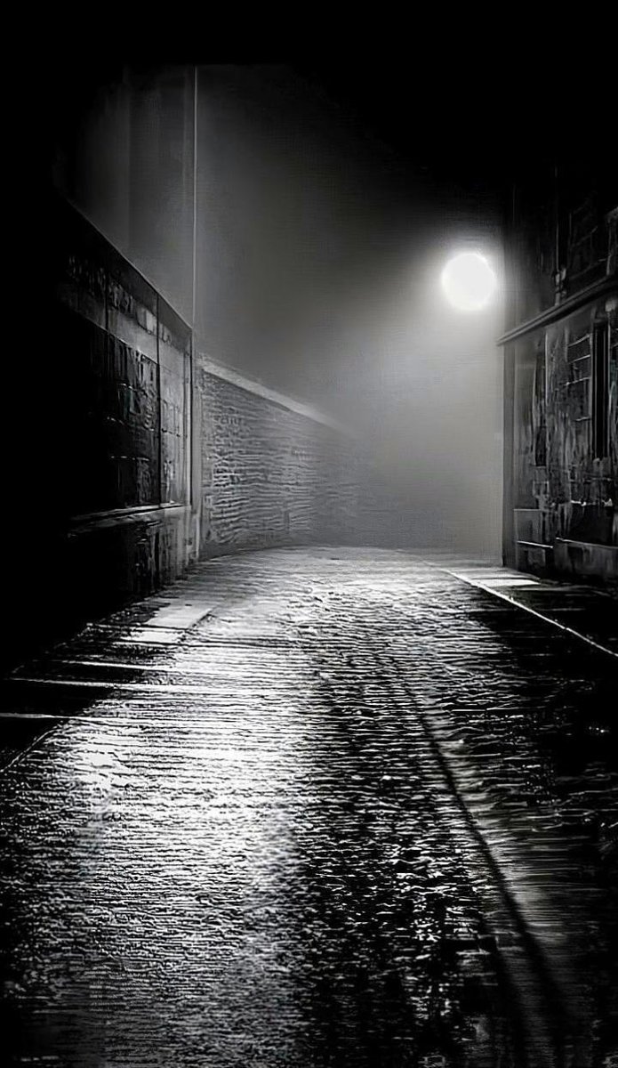 lida1xs's tweet image. 