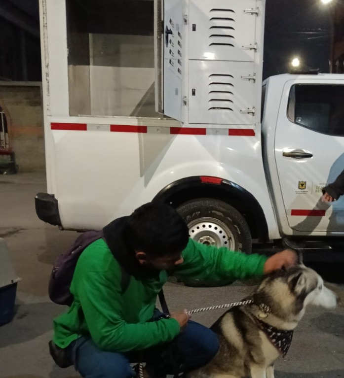 AnimalesBOG's tweet photo. #AEstaHora  A todos nos indigna ver imágenes de malas personas maltratando animales. Recordemos: las redes son importantes pero la denuncia por la Línea 123 es clave. En equipo con la Policía podemos decirles: ciudadanía bogotana, RESCATADO. @AHLLAMAS https://t.co/dbTA6qihEM