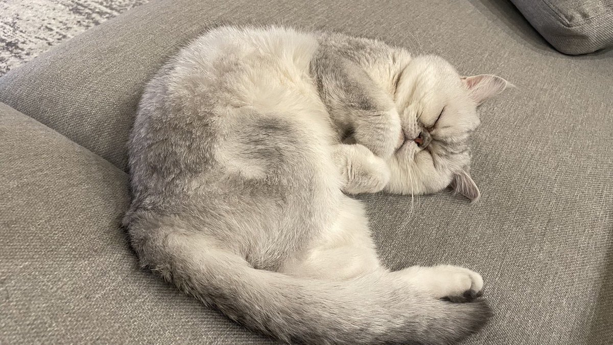 本物の外科医（北原 大翔） (@hirotokitahara) on Twitter photo 