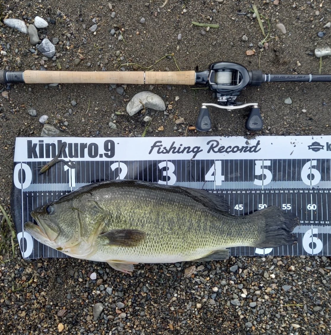 SHINJI FUJII®︎ (@vh_rodplanner) / Posts / X