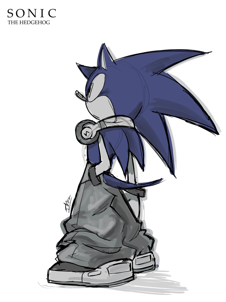 S O N I C  T H E  H E D G E H O G