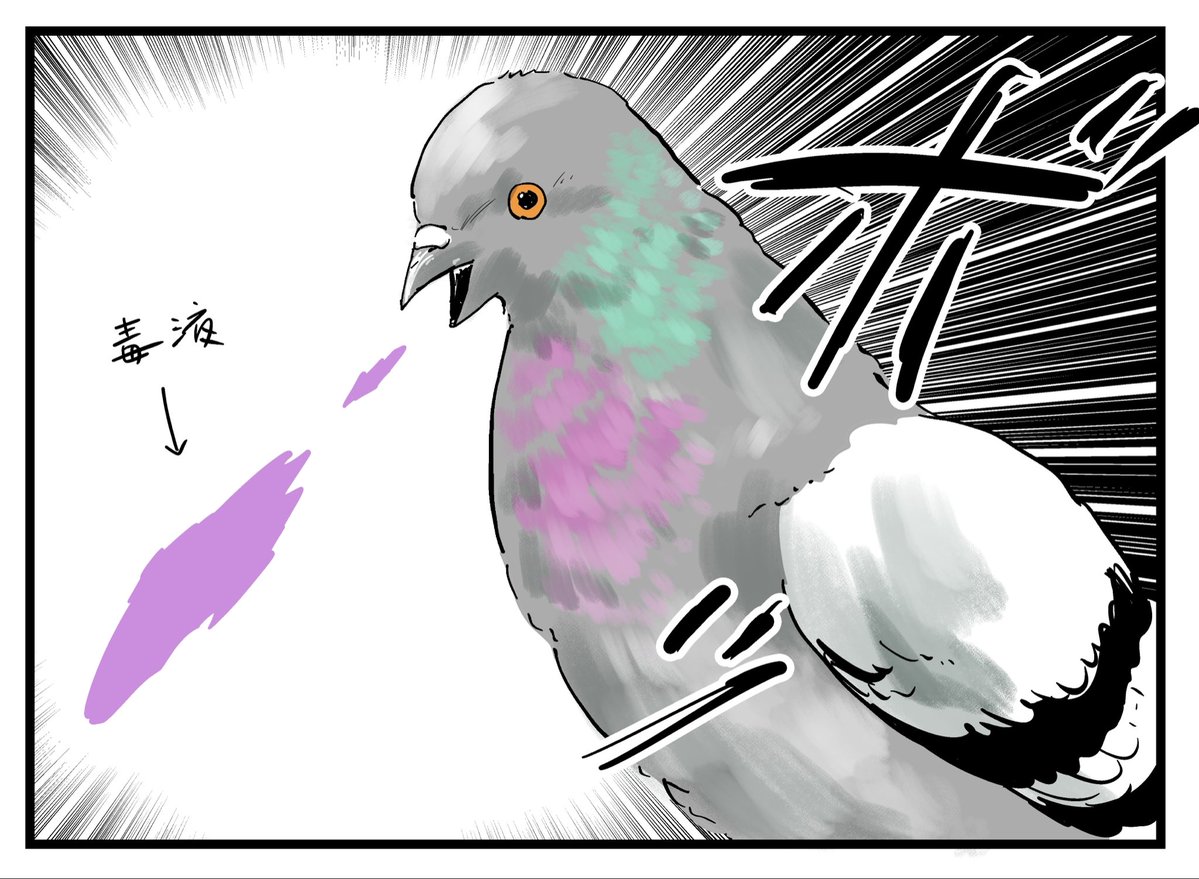 クララ様翌日 hq720.jpg?sqp=-