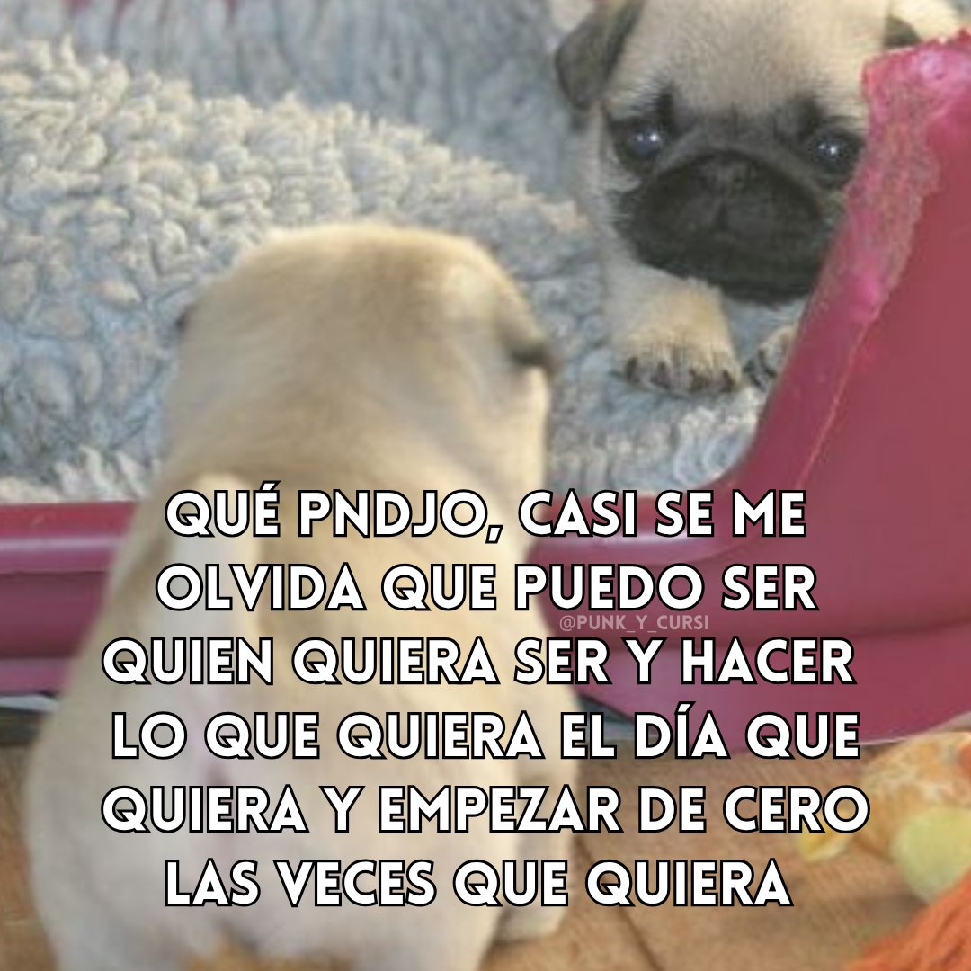 punk_y_cursi's tweet image. 🪞🪞🪞🪞