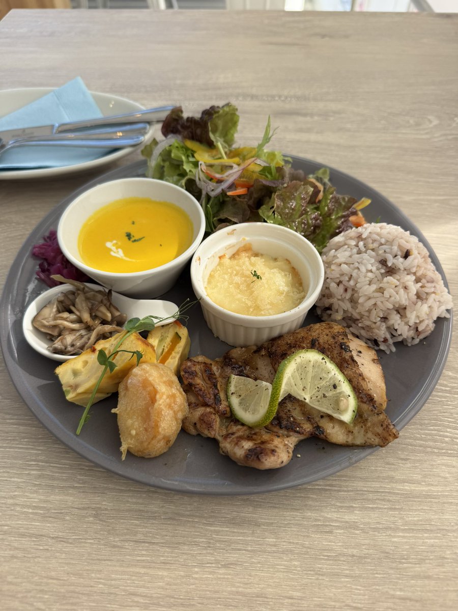 かずにゃん (@0514kazu_nyan) / Posts / X