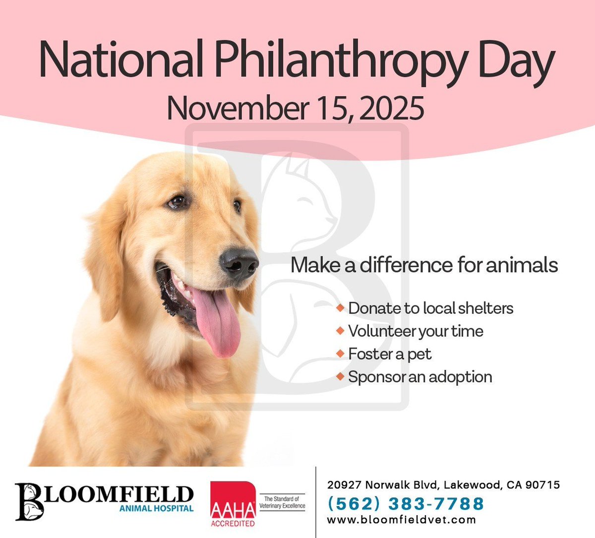 We value philanthropy and the need for teamwork to create positive change. Join us to make a difference for needy animals and secure a better future for our furry friends. #nationalphilanthropyday #petcare #bloomfieldanimalhosp #lakewood #CA