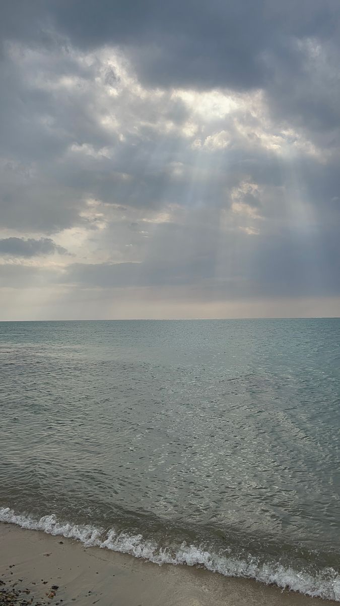 طلال محمد (@talaljalali2) on Twitter photo 