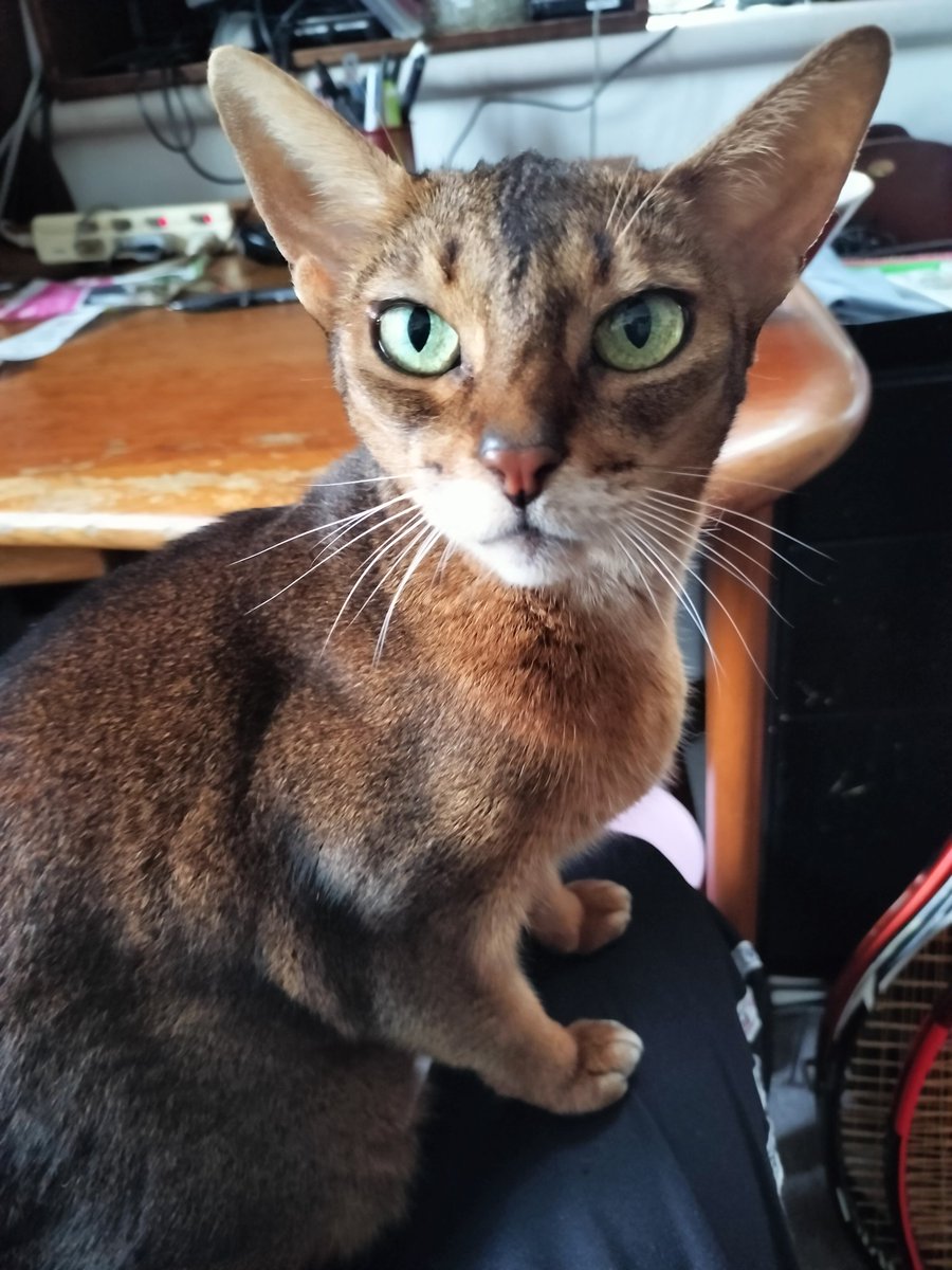 motohiko sakaguti (@5758saau1) / Posts / X