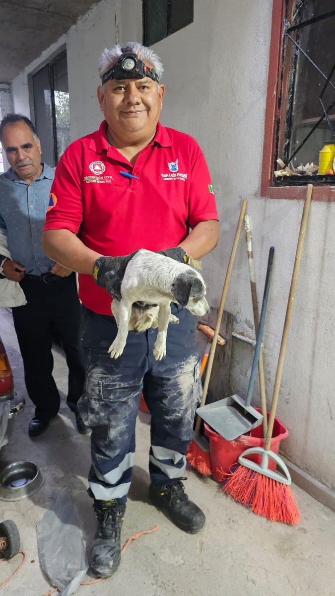 🚨🐶 Rescatamos a un cachorrito que quedó atrapado en una chimenea en la Col. Progreso.
Nuestro equipo lo entregó sano y salvo a su dueña 💛

👉 Toda vida importa. Si ves un animal en peligro, repórtalo a la Dirección Municipal de Protección Civil.