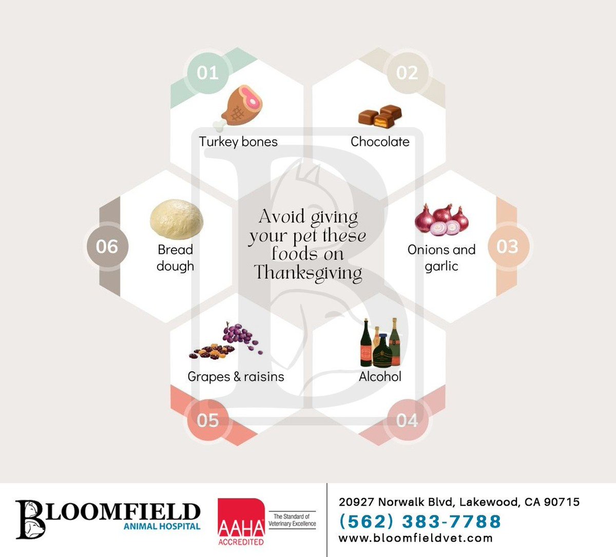 Thanksgiving is a time for family, friends, and delicious food, but some of our favorite dishes can be dangerous to pets. Stay informed and keep them safe this Thanksgiving. #thanksgivingsafety #petcare #petsafety #bloomfieldanimalhosp #lakewood #CA