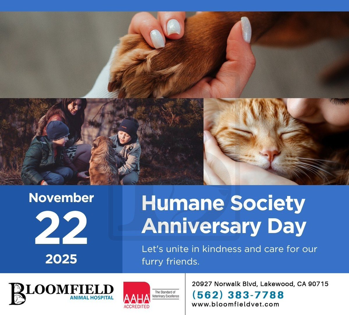 Every pet deserves love and expert care. Whether it's a routine checkup or a crucial treatment, our dedicated team is here for you and your pets. Call Bloomfield Animal Hospital for assistance. #humanesocietyday #animalcare #bloomfieldanimalhosp #lakewood #CA