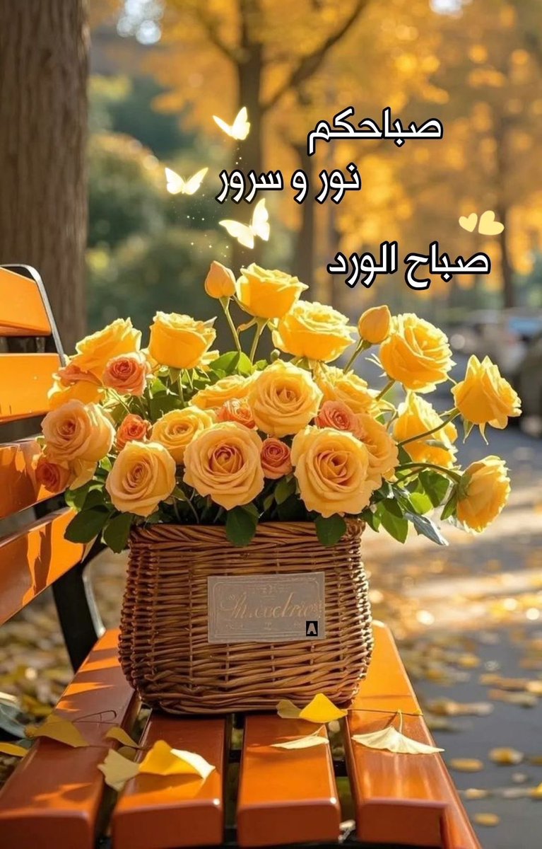 F84F_'s tweet photo. اللّهُمَّ افْتَح لَنا مَصاريعَ الصَّباح بِـ مَفاتيح 
الرَّحْمَةِ وَ الْفَلاح🍃🩵

.
.

#صباح_الخير https://t.co/tW0j9YKiU3