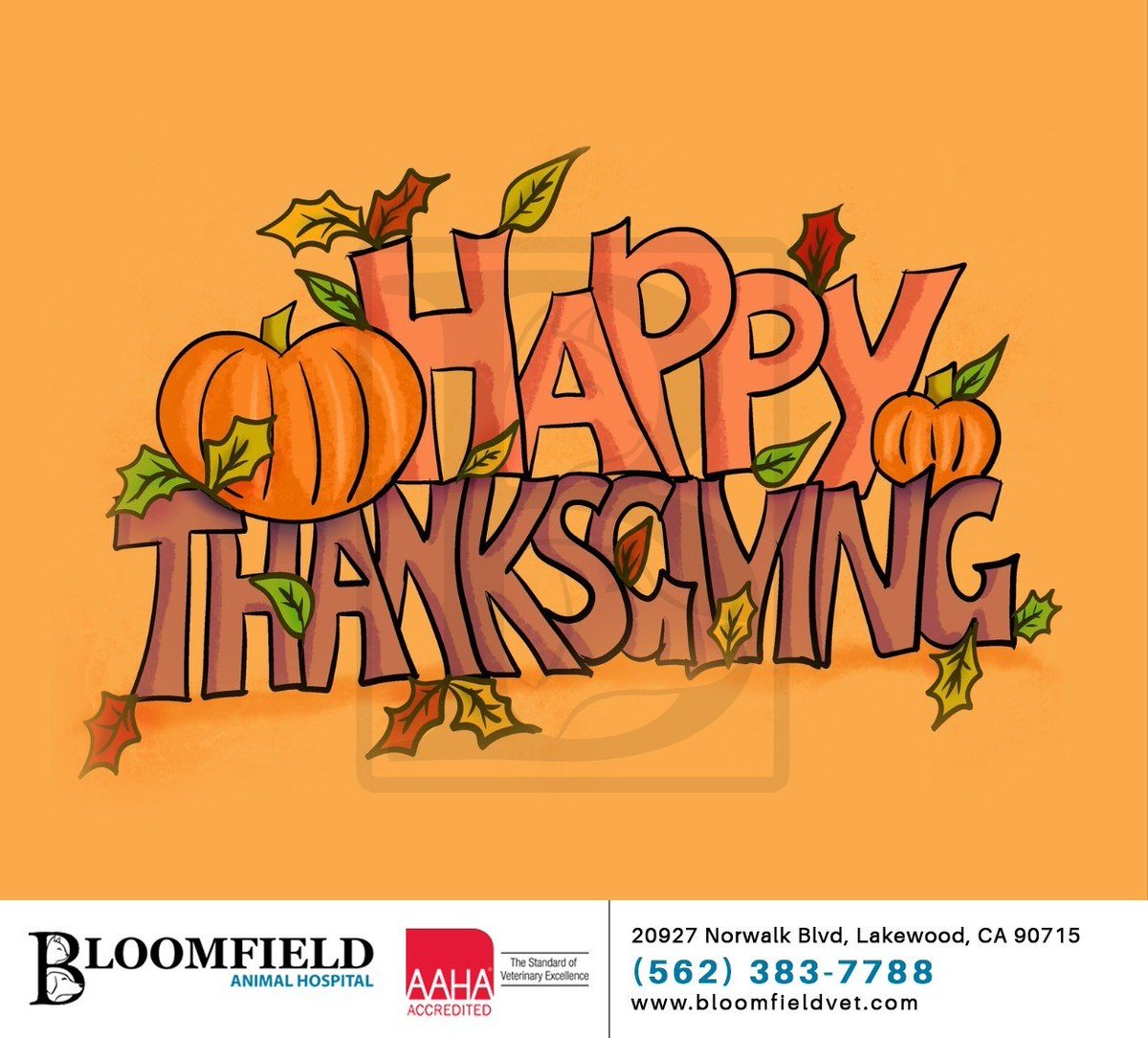 The team at Bloomfield Animal Hospital wishes you and your loved ones a very Happy Thanksgiving. Have a wonderful holiday season. #thanksgiving #holidayseason #gratitude #bloomfieldanimalhosp #lakewood #CA