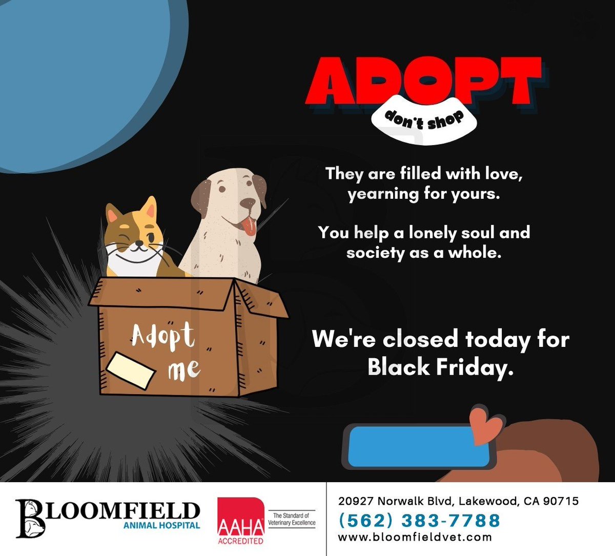 By adopting a pet, you provide them a better life and help prevent them from ending up on the streets or in a shelter, contributing positively to society. Please note that Bloomfield Animal Hospital is closed today. #adoptdontshop #bloomfieldanimalhosp #lakewood #CA