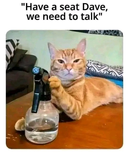 #HelpsGetRidOfStress
Turnabout is fair play.