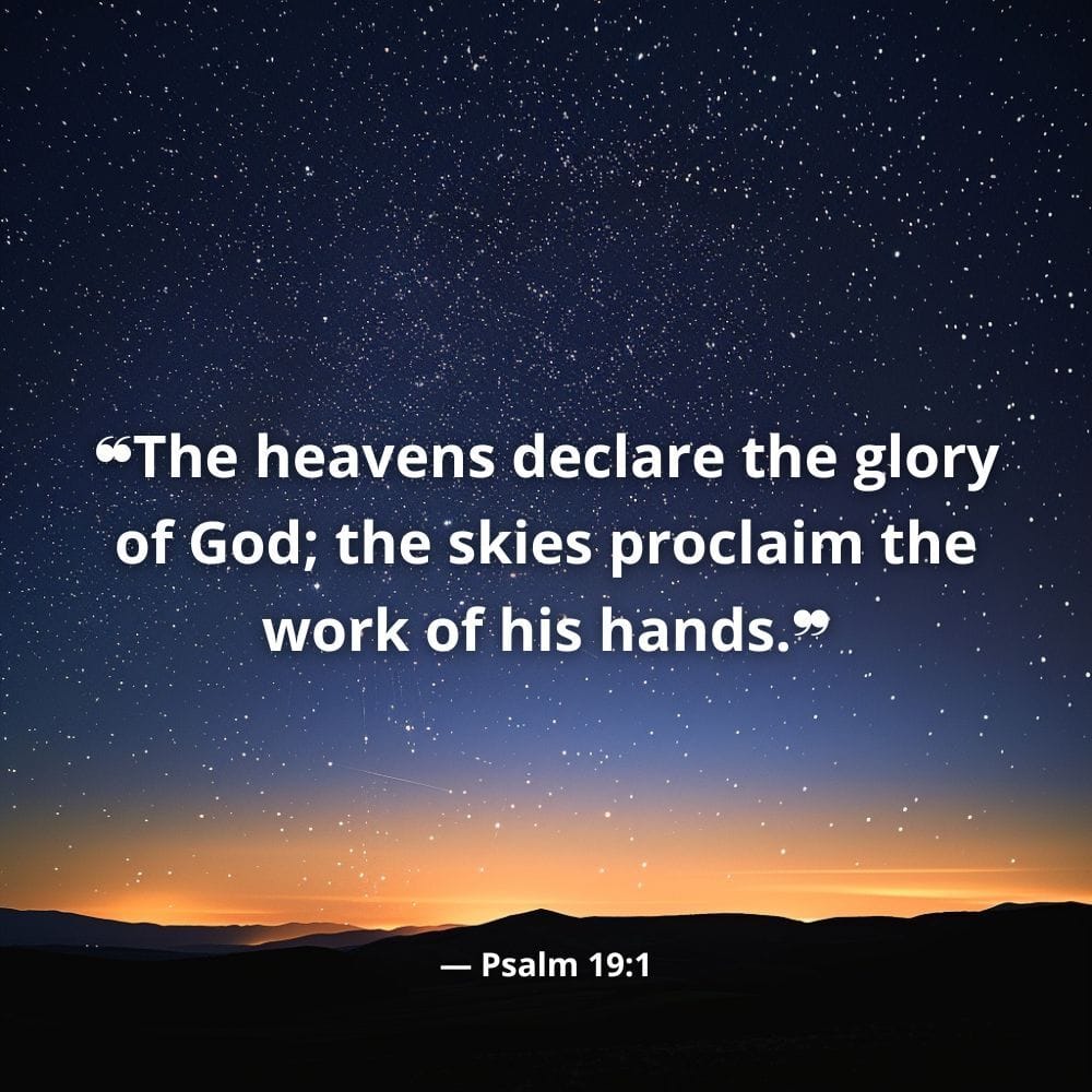 <a href="/bennyjohnson/">Benny Johnson</a> <a href="/rookisaacman/">Jared Isaacman</a>