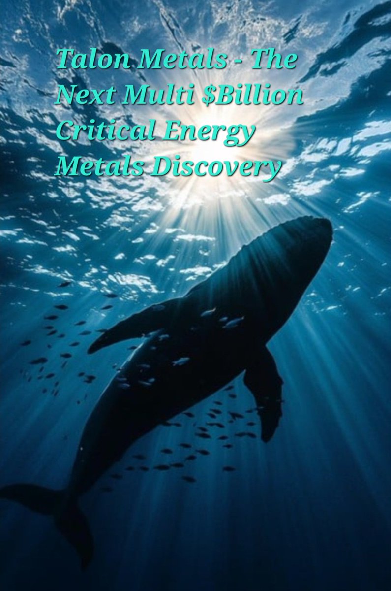 WhalehunterCap's tweet photo. Talon Metals - A Deep Dive into the Next Critical Energy Minerals Unicorn

https://t.co/TMcgZlyOzQ

#Mining #CriticalMinerals #Nickel #Copper #Cobalt https://t.co/9ugJCGKfMc
