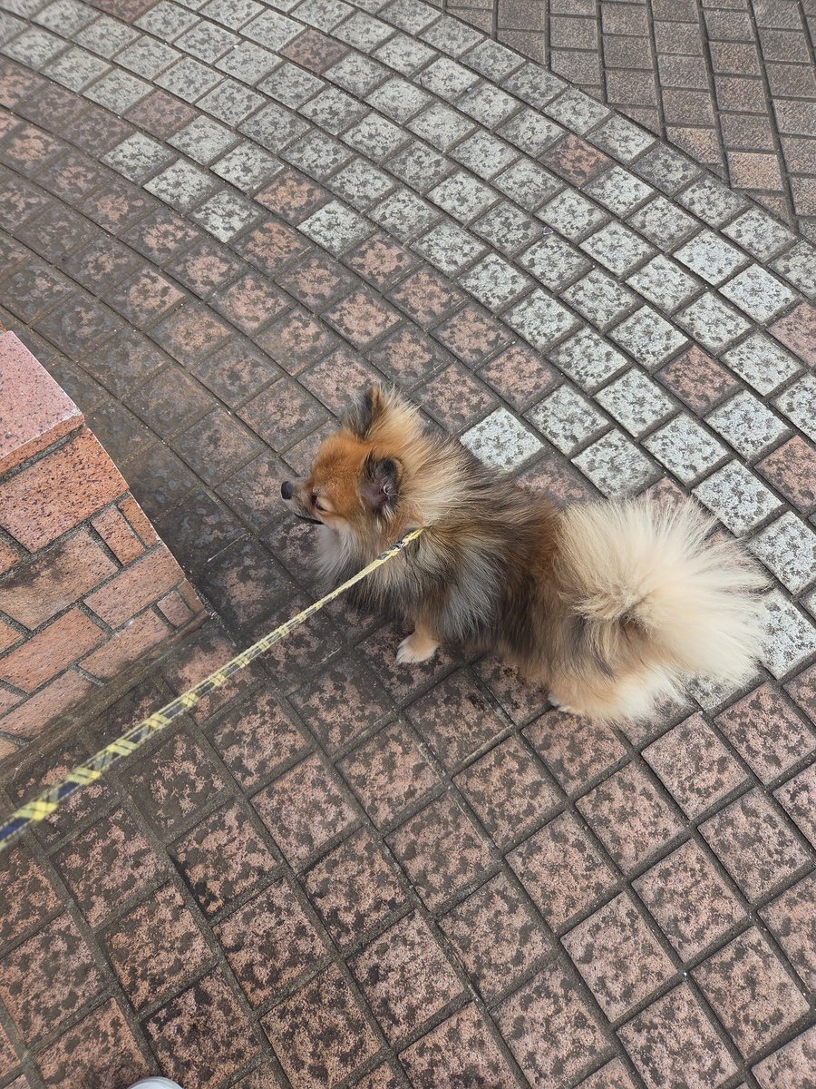 ohana♡ページ‼︎  取引き中止 ✾OHANA✾ (@rippana_ohana) / Posts / X