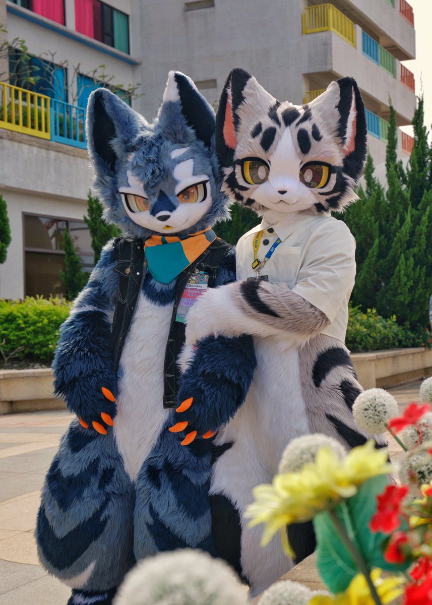 请看看可爱的幻嵐和起司吧~
#Infurnity2025 #fursuit #起司猫