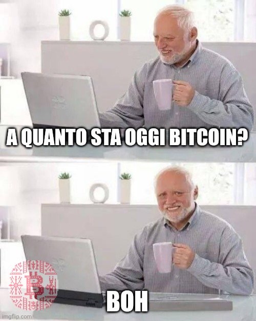La faccia spaesata di un bitcoiner quando qualcuno si aspetta che sappia il prezzo di bitcoin