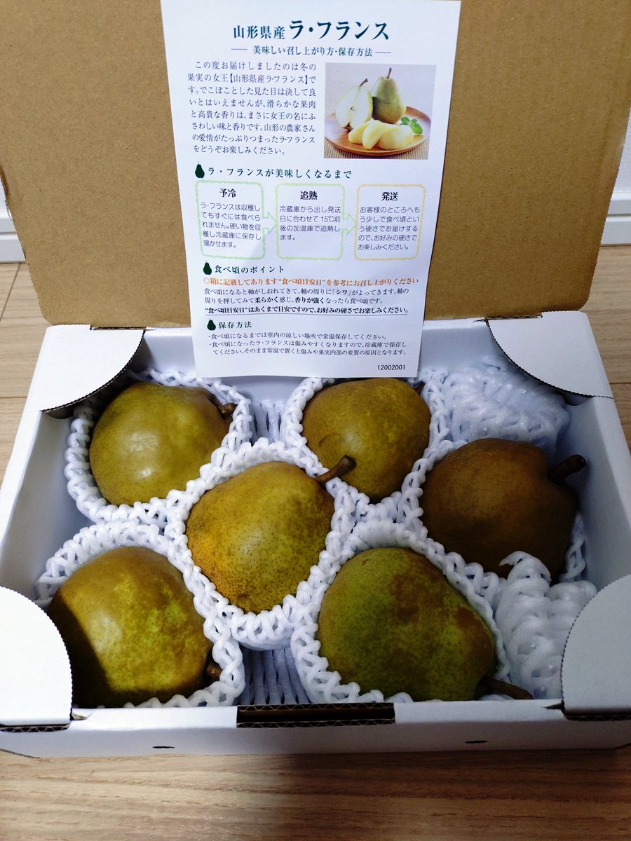 ダーヤ (@dayacollector) / Posts / X