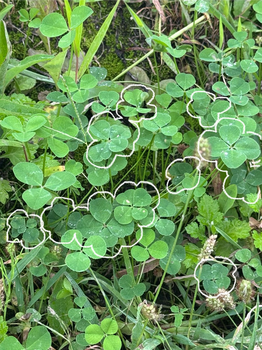 이 사진에 정말정말 많이잇어