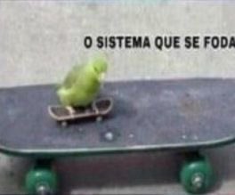 shitpostverdade's tweet photo. https://t.co/t9ZorEJN2A
