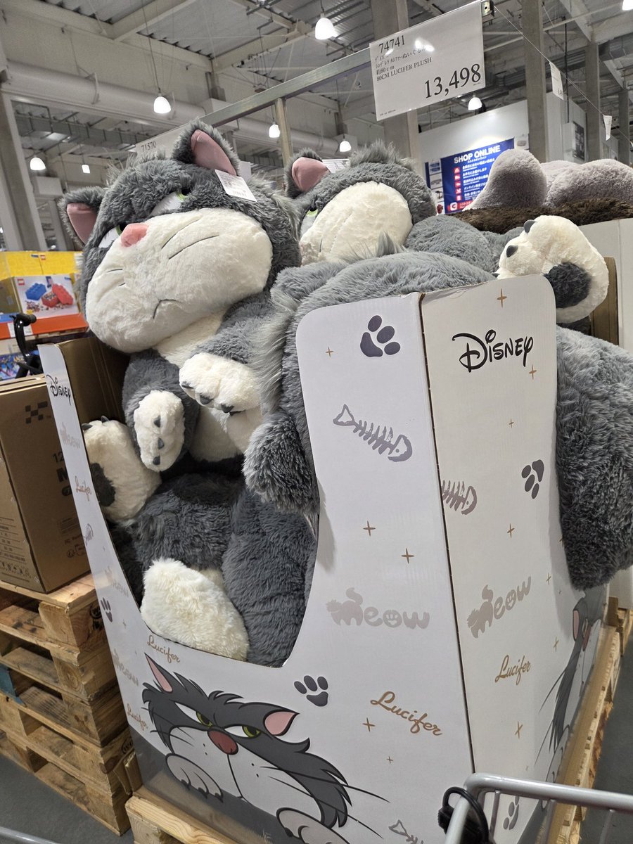 コストコにおっきなルシファーちゃんがおりますねぇ！！ #ルシファー