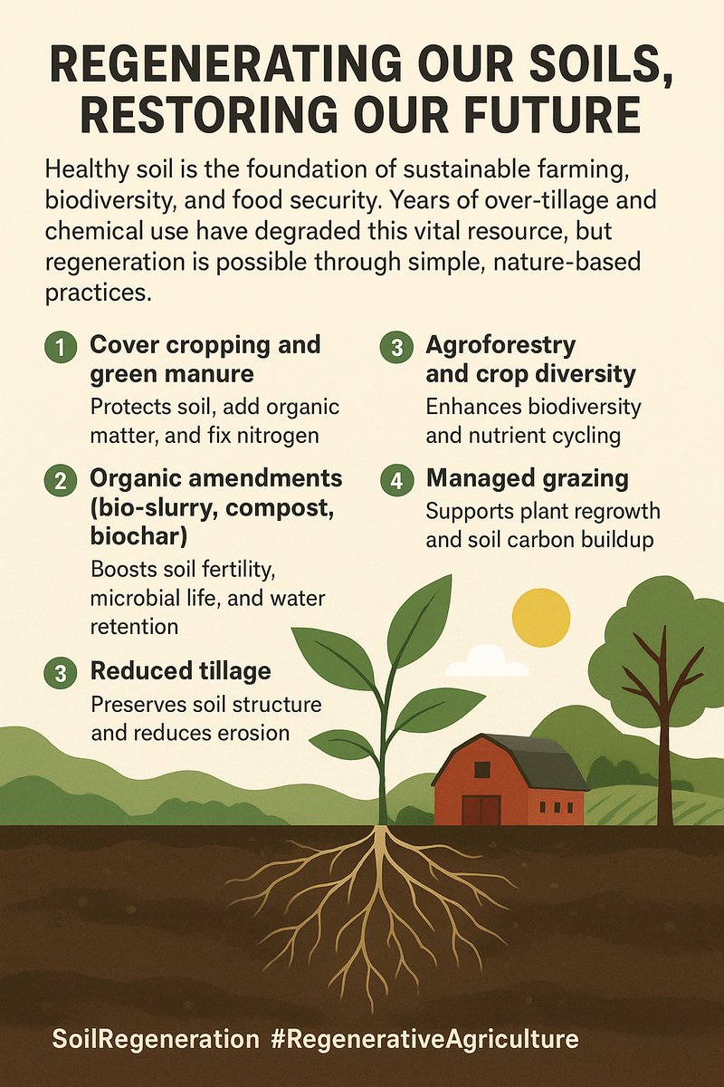 🌱 Regenerating Our Soils, Restoring Our Future!
Healthy soils = healthy farms, food, and planet, through:
1️⃣ Cover crops &amp; green manure
2️⃣ Organic inputs
3️⃣ Reduced tillage
4️⃣ Agroforestry &amp; crop diversity
5️⃣ Managed grazing

Feed the soil so it can feed us 🌾💚