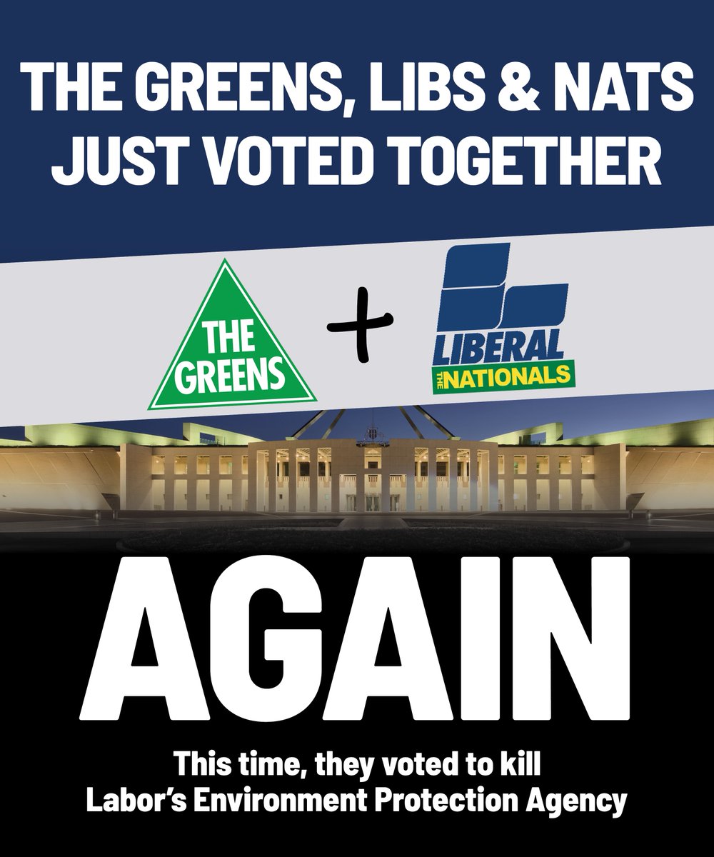 Justine Elliot, your local Labor MP tweet media