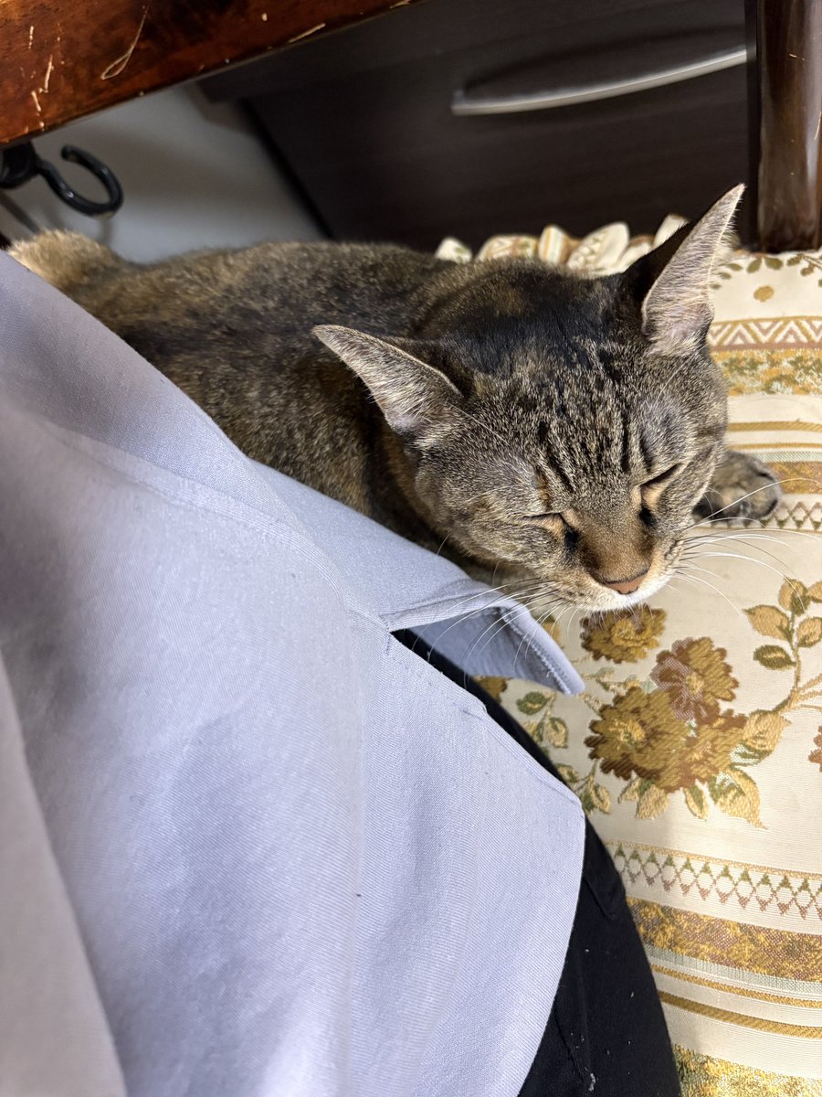 メラルーカ　【コナツさまご依頼品】 メラルーカ 【コナツさまご依頼品】