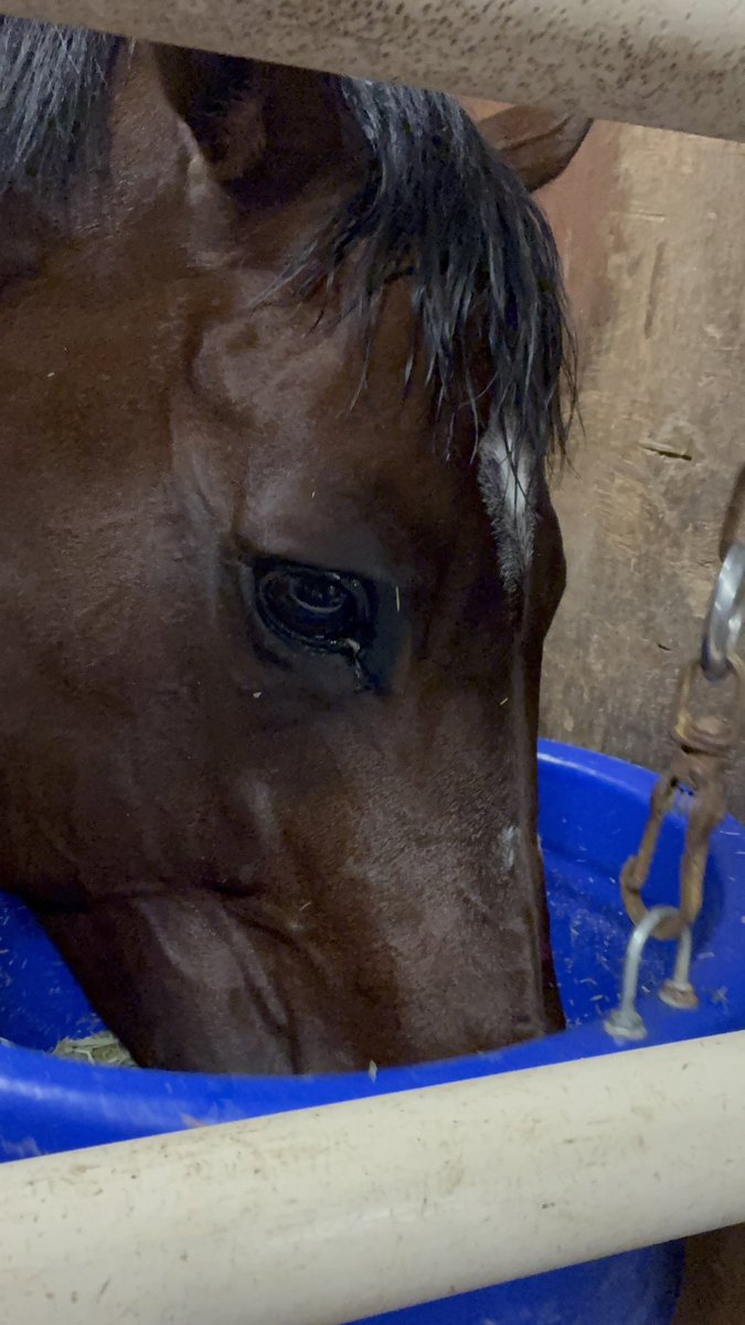 あいうえおさん (@aiueoP) / Posts / X