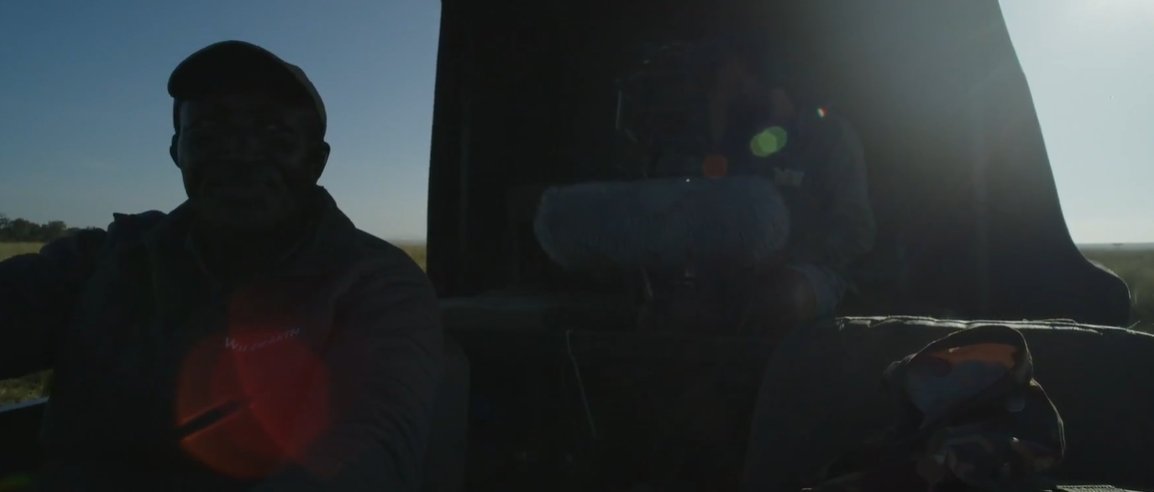 loveellisSwiss's tweet image. ...... pictures of the Morning drive . 
Well done  #wildearth 🤦‍♀️​

#ridiculous