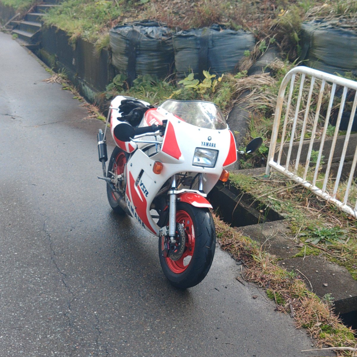 ティー♡様ご確認用ページ！ B】/CATワッペン/Tシャツ（ydb4582618622912）|商品詳細|BAYSTORE ONLINE