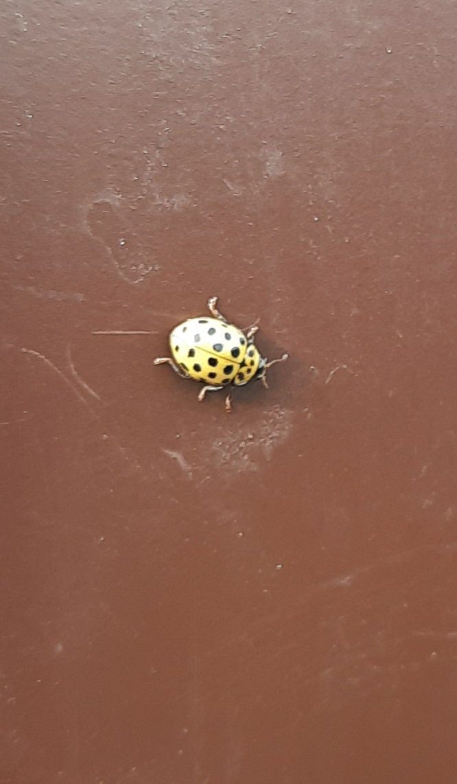 Ещё одно чудо ноября.