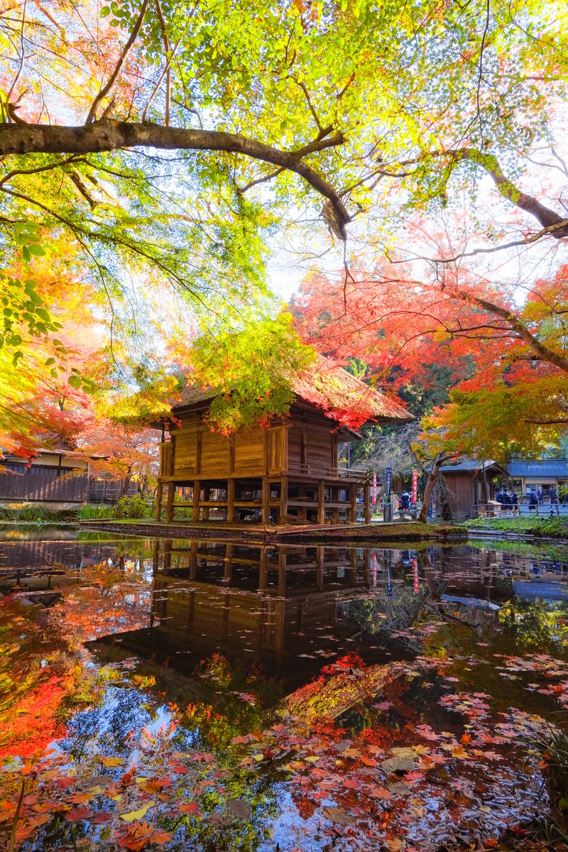 ann_photo05's tweet photo. 中尊寺 弁財天堂。 https://t.co/kR43sThWKq