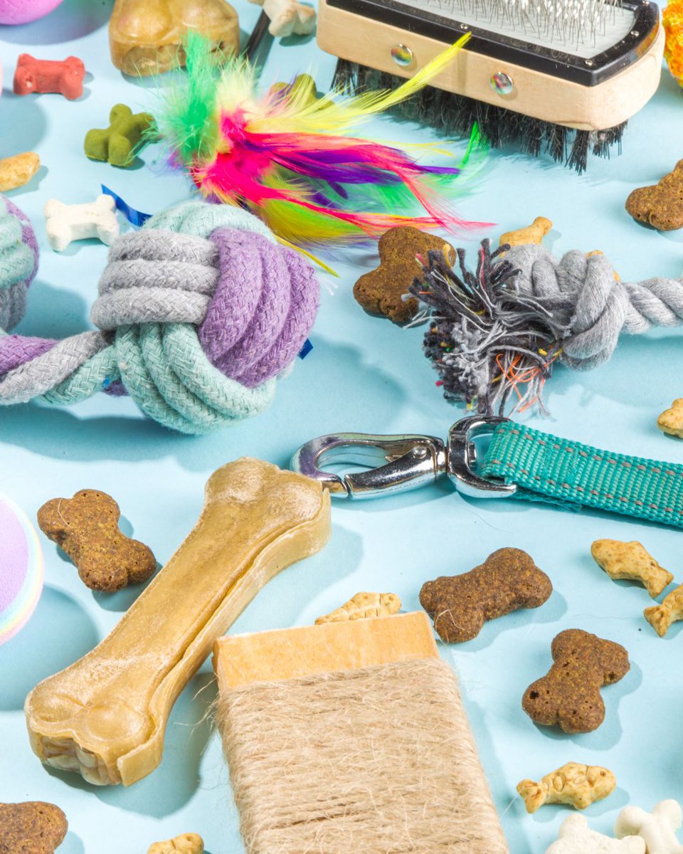 Evcil dostunu mutlu etmek için aradığın tüm ürünler Pazarama'da. Link bio'da!💙🐾