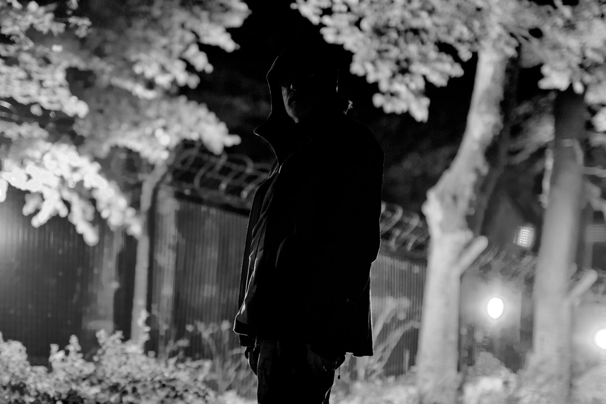 Norman Records tweet media