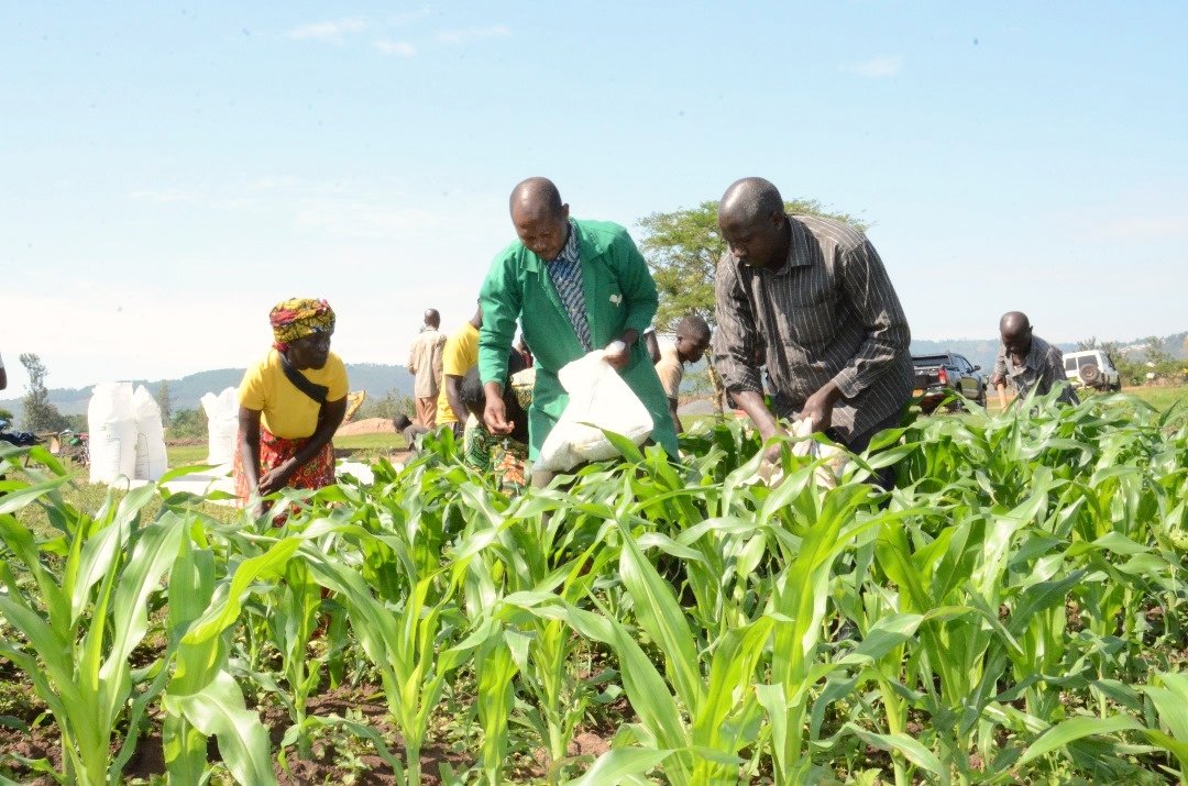 Gatsibo District tweet media